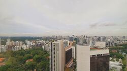 The Scotts Tower (D9), Condominium #418878971